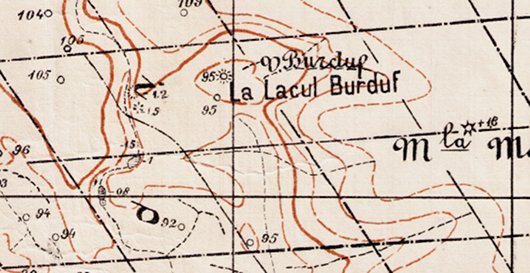 Exemplu: hartă ilustrată cu negru și sepia (maron)